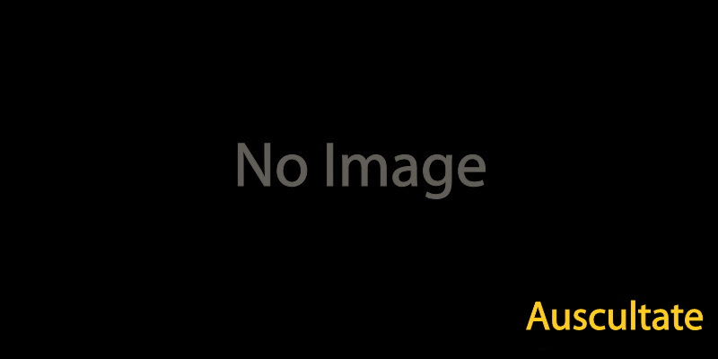 사진없음